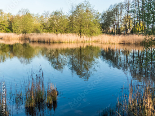 Mühlenteich in Rostock