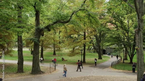 Slow motion wide panning shot of people walking in Central Park / New York City, New York, United States