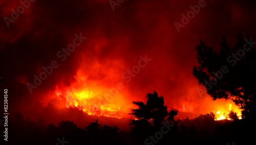 Fire storm in the forest – hell on earth. Horrific fire destroys thousands of acres of trees.