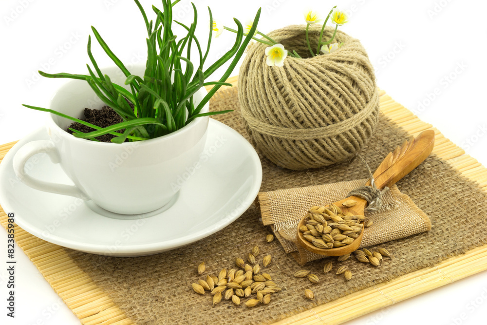 Composition from grass in the cup and plate, seeds, mat, sacking Composition from grass in the cup and plate, seeds, mat, sacking