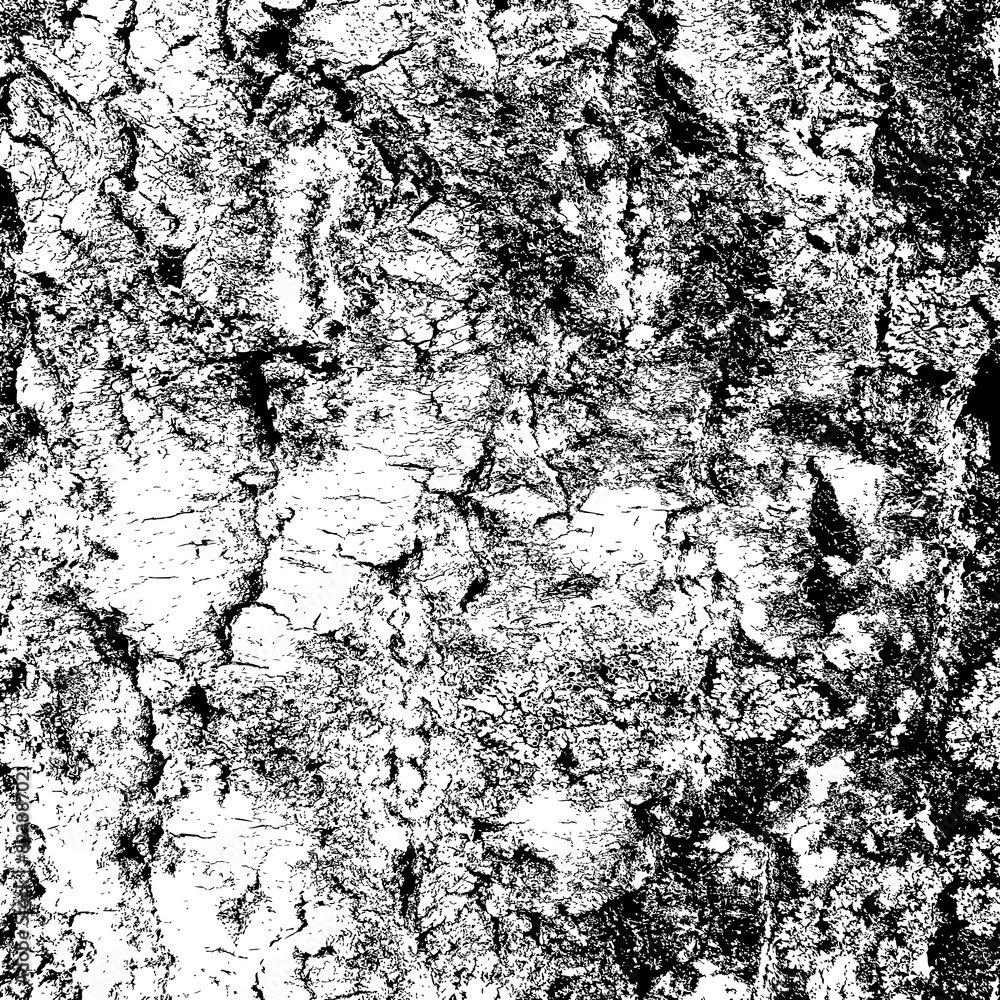 bark of birch in the cracks texture. Vector illustration. bark of birch in the cracks texture. Vector illustration.