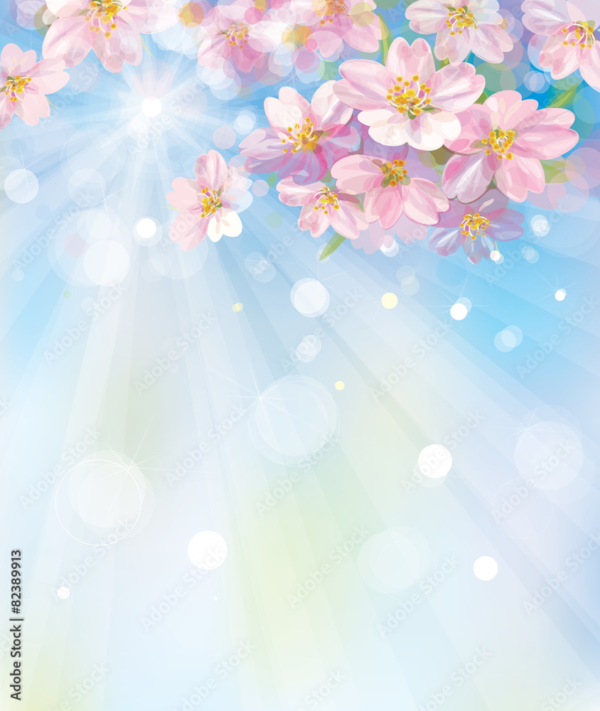 Vector blossoming branches apple tree, sky background. Vector blossoming branches apple tree, sky background.