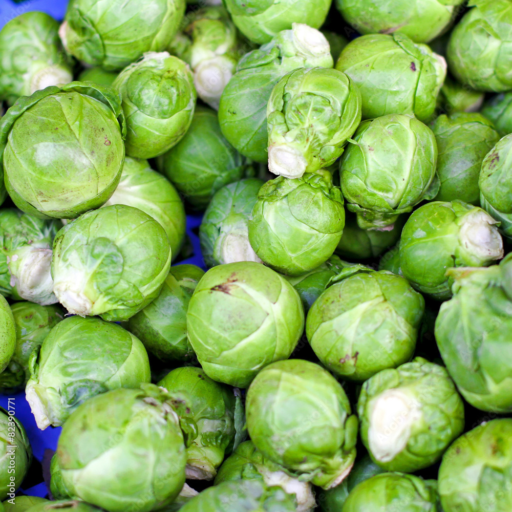 Fototapeta premium Brussels sprouts