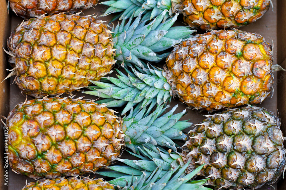 Pineapple Pineapple
