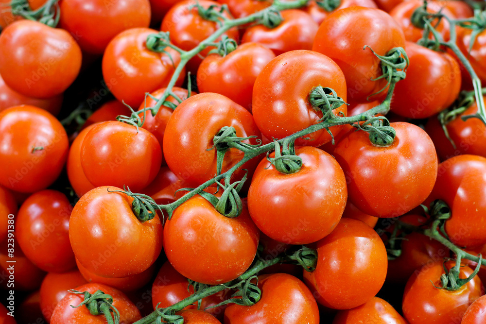 Tomato on  vine