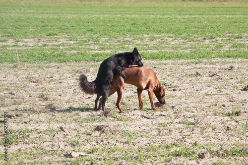 Wallpaper Mural Frühlingsgefühle Torontodigital.ca