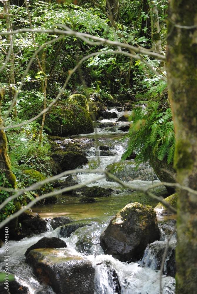 Ruisseau d'Aiguebelle