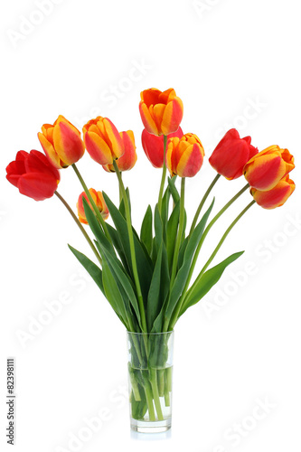 Fototapeta Naklejka Na Ścianę i Meble -  tulips in a glass isolated
