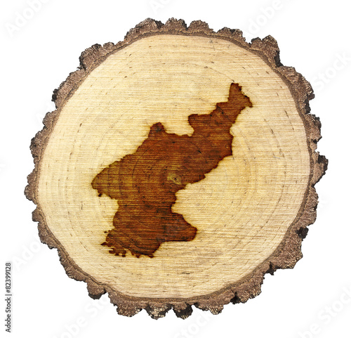 Slice of wood (shape of North Korea branded onto) .(series)