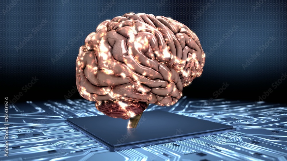 Simulating the human brain loop dynamic