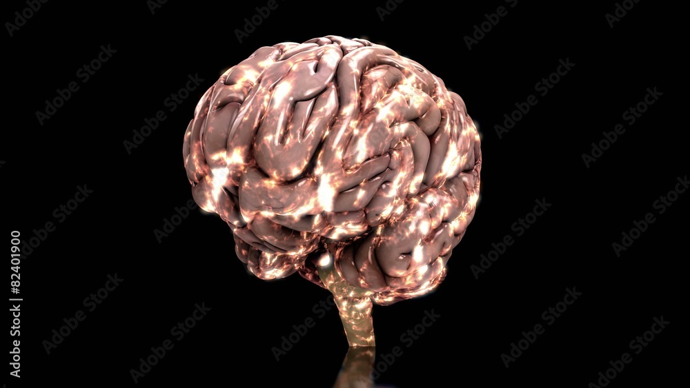 Analyzing the human brain slow loop black