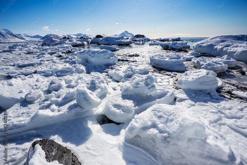 Arctic glacier landscape - Svalbard
Arctic glacier landscape - Svalbard