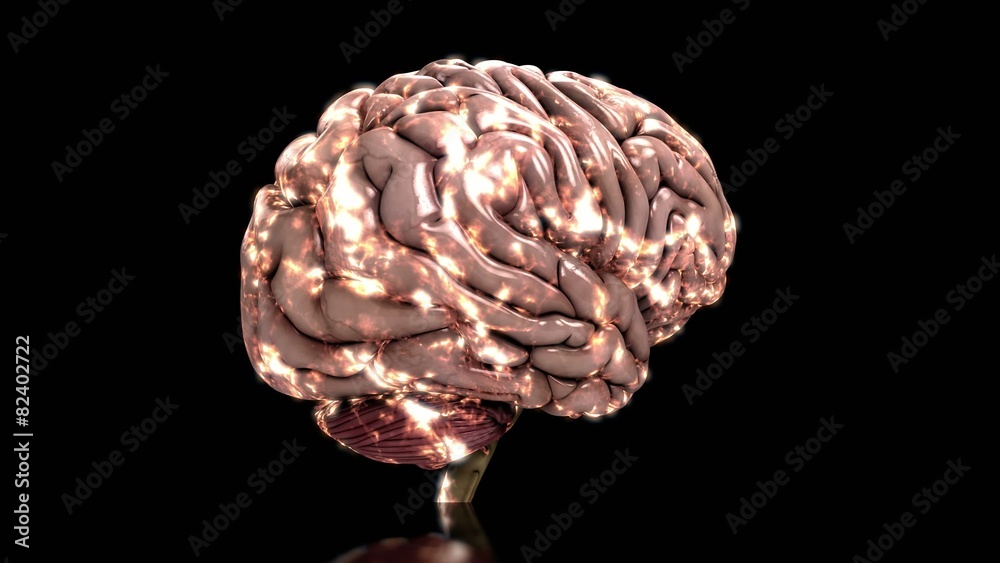 Analyzing the human brain dynamic loop black