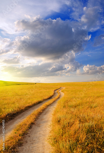 Dirt road in the steppe