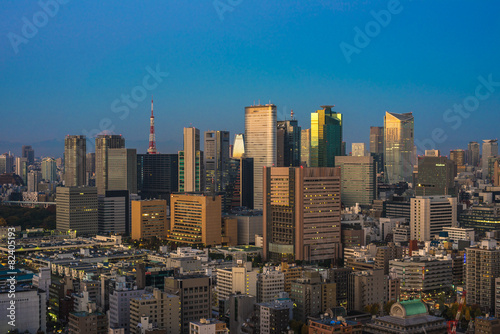 Tokyo aerial panoramic view at sunrise © javarman