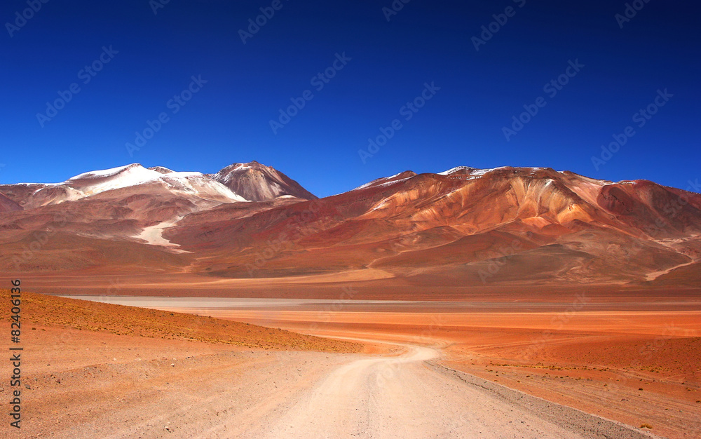 Fototapeta premium Samotna droga na pustyni