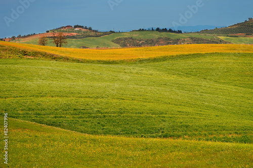 Colline toscane