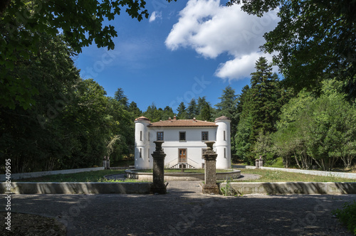 House surrounded by greenery