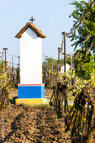 God''s torture with vineyard near Nechory, Czech Republic photo