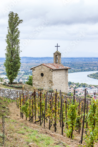 grand cru vineyard and Chapel of St. Christopher, L´Hermitage, R photo