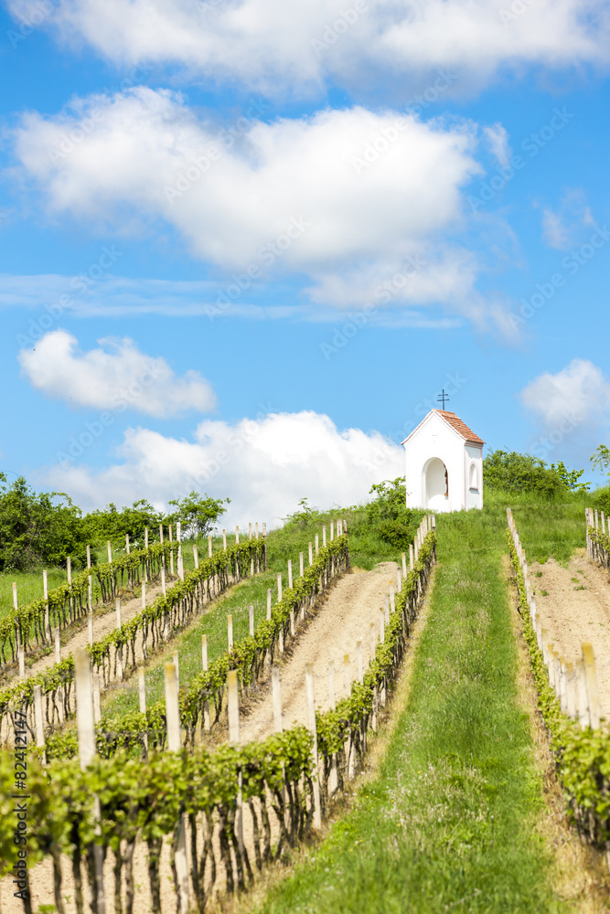 God''s torture near Hnanice with spring vineyard, Southern Morav