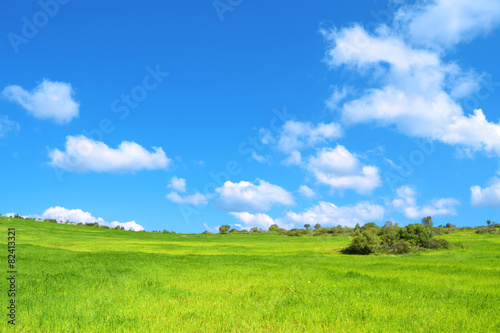 Bella prateria verde con cielo azzurro e nuvole - pianeta verde