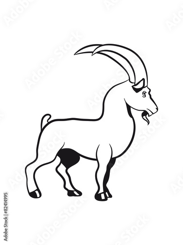 Capricorn horoscope animal