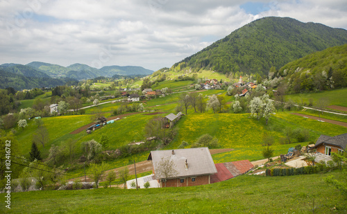 Tuhinj valley near Kamnik, Slovenia photo