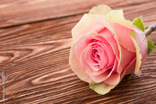 rose flower on wood background