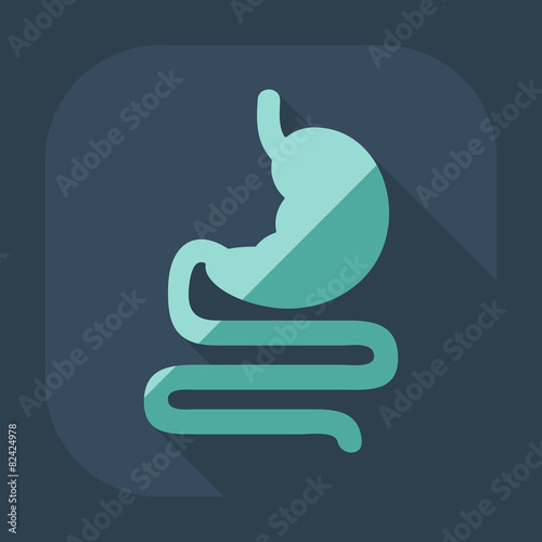 Flat modern design with shadow icons stomach