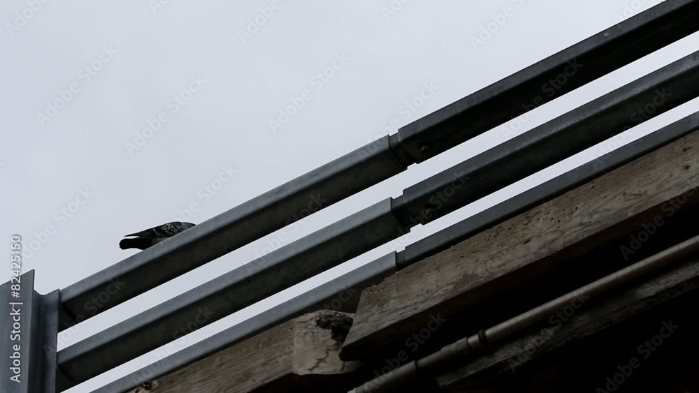 pont
