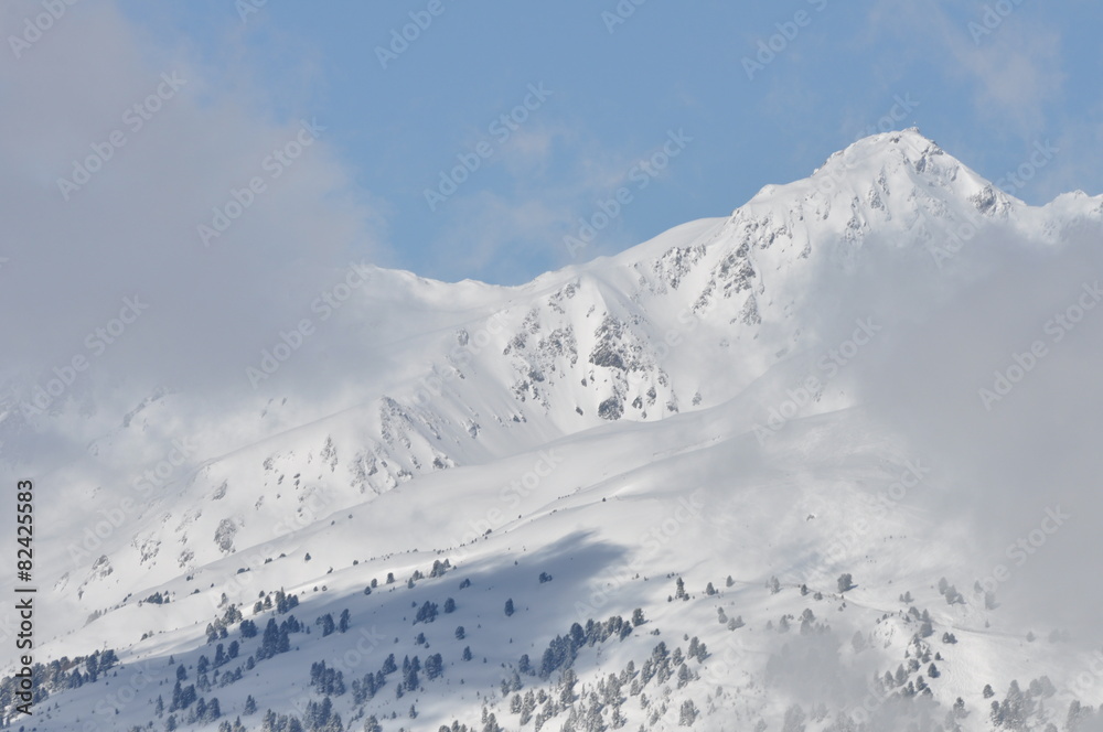 Winter panorama Winter panorama