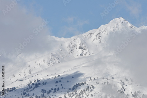 Fototapeta Naklejka Na Ścianę i Meble -  Winter panorama
