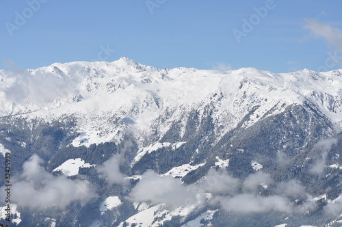 Winter panorama