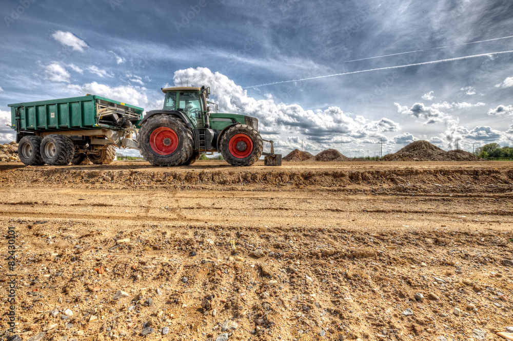 Fototapeta premium bulldog 435