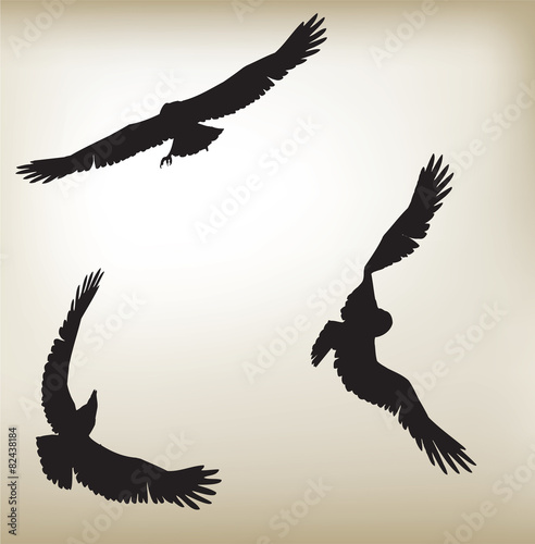 Eagles Silouwete