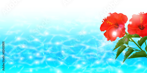 ハイビスカス　海　背景