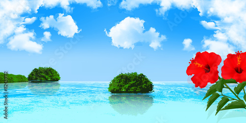ハイビスカス　海　背景
