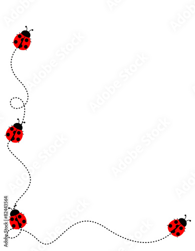 Lady bug frame