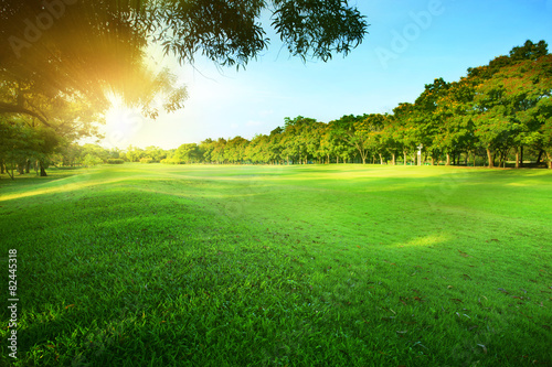 beautiful morning sun shining light in public park with green gr