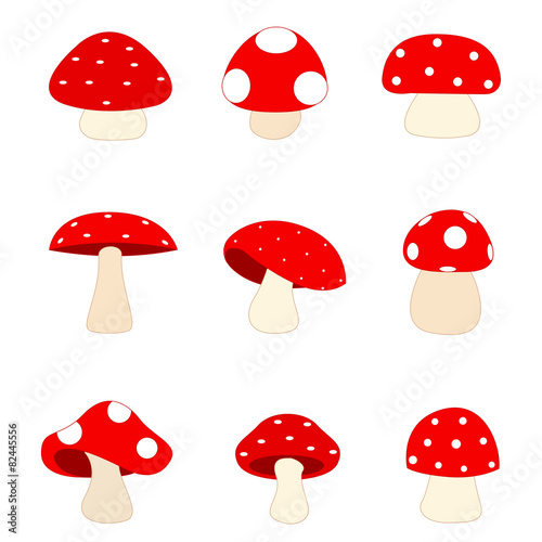 Mushroom
