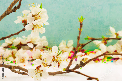 Abstract spring border background with blooming branch