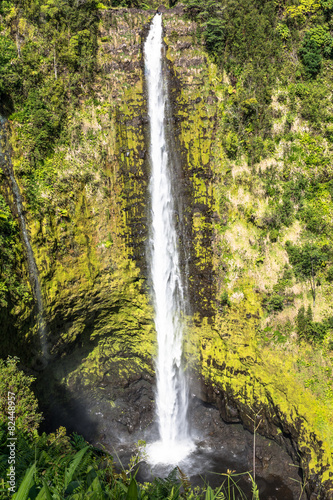 Akaka Falls  Hawaii