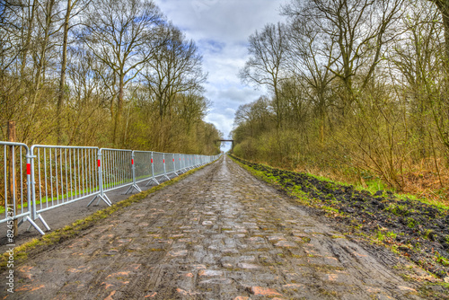 Pave d'Arenberg