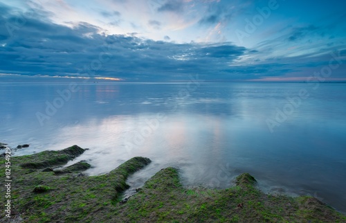 Baltic shore overgrown with algae