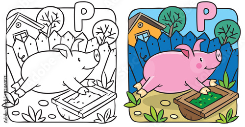 Little pig coloring book. Alphabet P photo