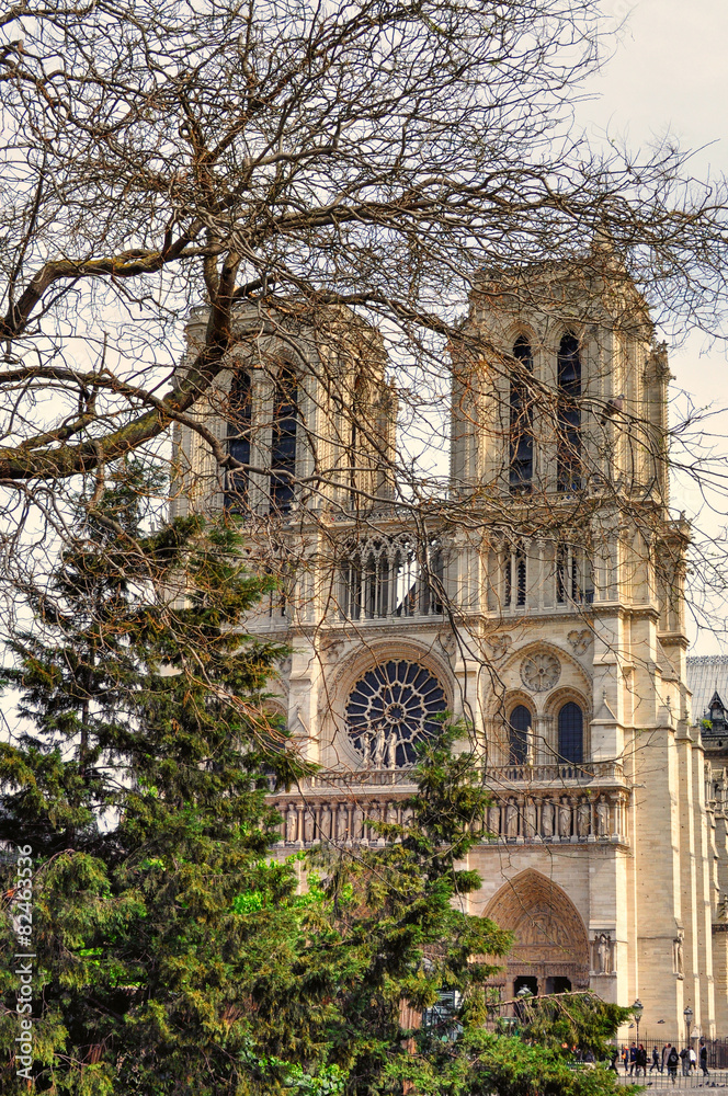 Cattedrale di Notre-Dame 4
