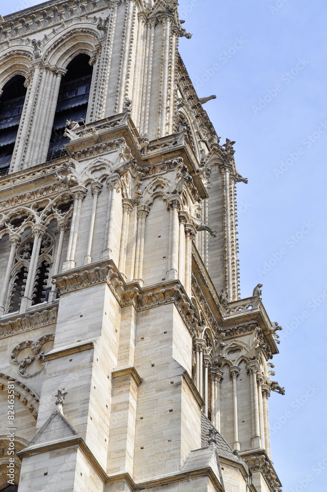 Cattedrale di Notre-Dame 3