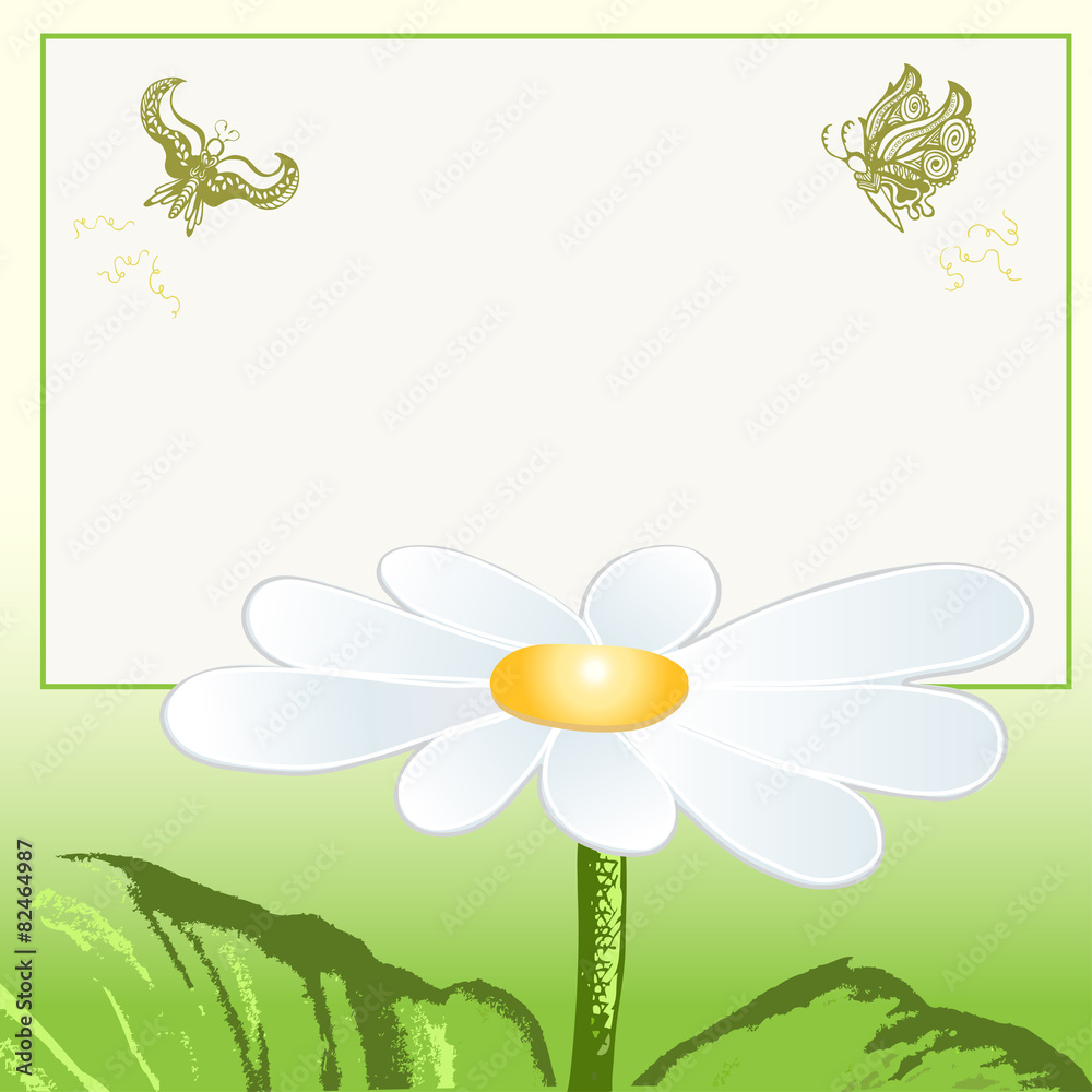 Nature spring daisy flower with butterfly. Nature spring daisy flower with butterfly.