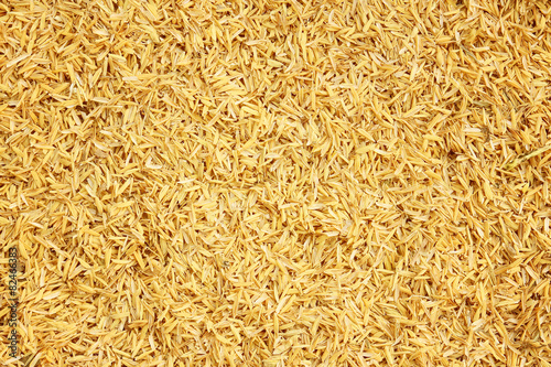Rice husk